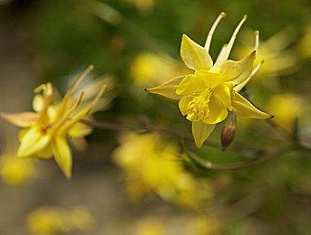 《Honcho》Steam页面上线 自贩机巡查模拟器